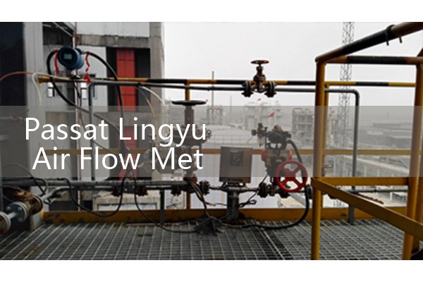 Passat Lingyu air flow meter